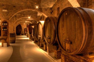 Primitivo and Negroamaro wine tour: a visit to two wineries and typical lunch