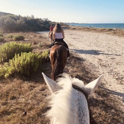 Passeggiata a cavallo in una Riserva Naturale del Salento con transfer da Lecce