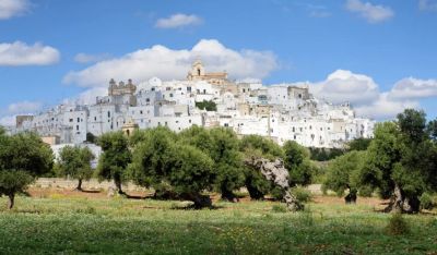 Tour della Valle d'Itria con guida locale