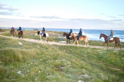 Passeggiata a cavallo in una Riserva Naturale del Salento con transfer da Lecce