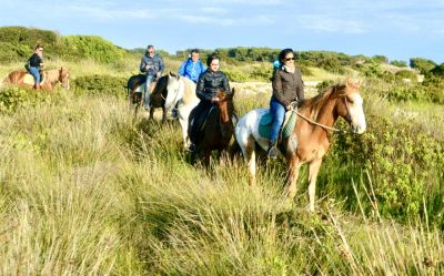 Passeggiata a cavallo in una Riserva Naturale del Salento con transfer da Lecce