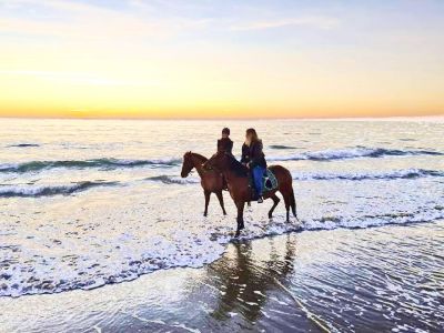 Passeggiata a cavallo in una Riserva Naturale del Salento con transfer da Lecce