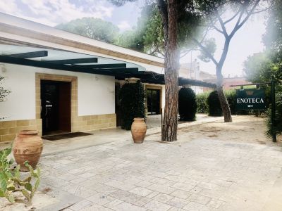 Visita di una Cantina in Salento con degustazione di vini e light lunch