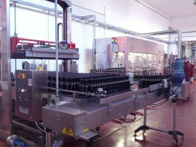 Visita di una Cantina in Salento con degustazione di vini e light lunch