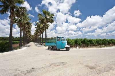 Visita di una Cantina in Salento con degustazione di vini e light lunch