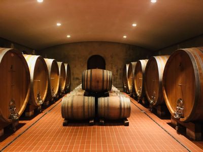 Tour dei vini Primitivo e Negroamaro: visita a 2 cantine e pranzo tipico