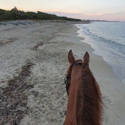 Horse ride in a Salento Nature Reserve with transfer from Lecce