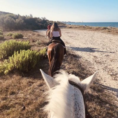 Horse ride in a Salento Nature Reserve with transfer from Lecce