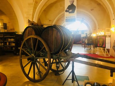 Tour dei vini Primitivo e Negroamaro: visita a 2 cantine e pranzo tipico