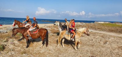 Horse ride in a Salento Nature Reserve with transfer from Lecce